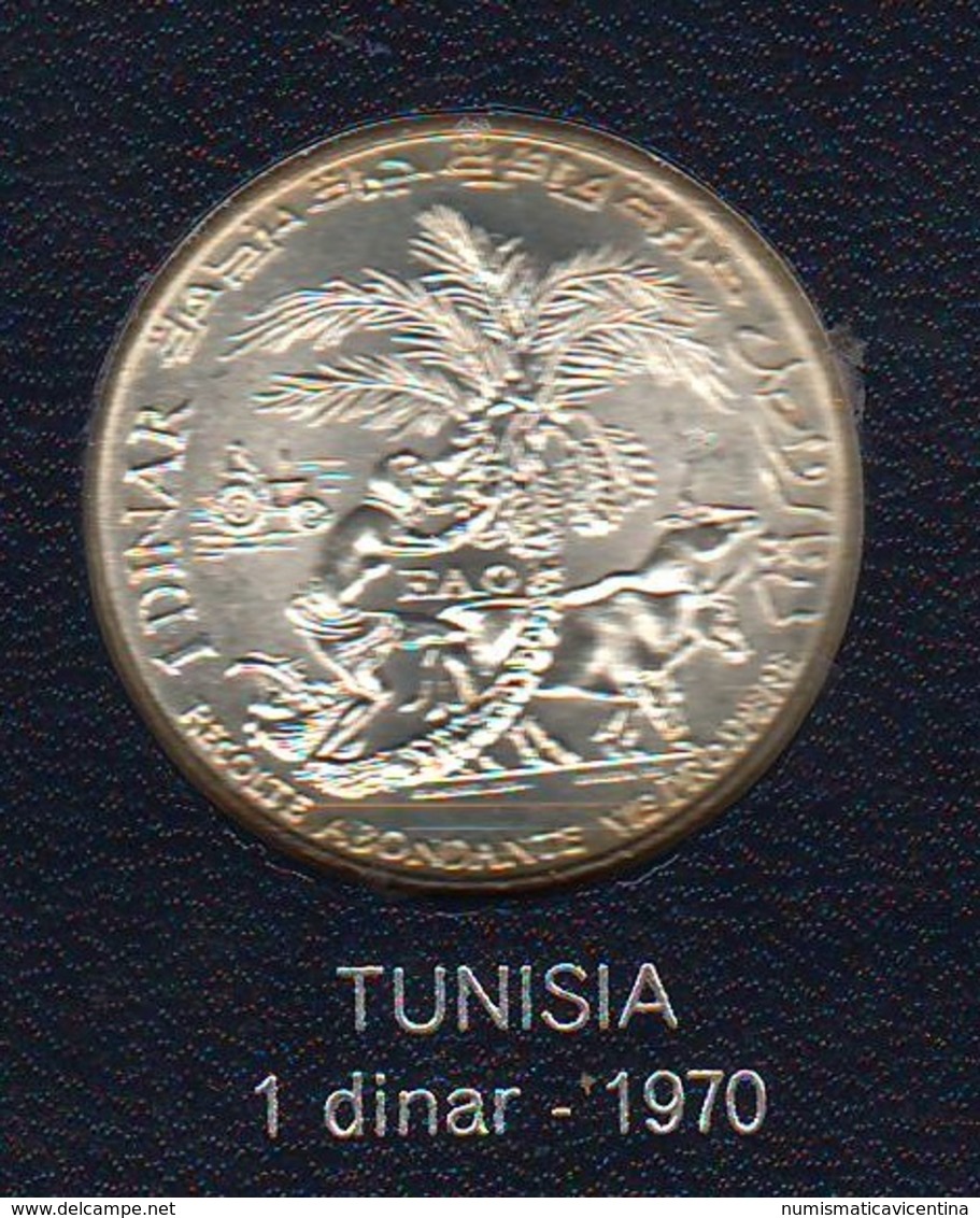 FAO 1 Dinar 1970 Tunisia - Tunisia