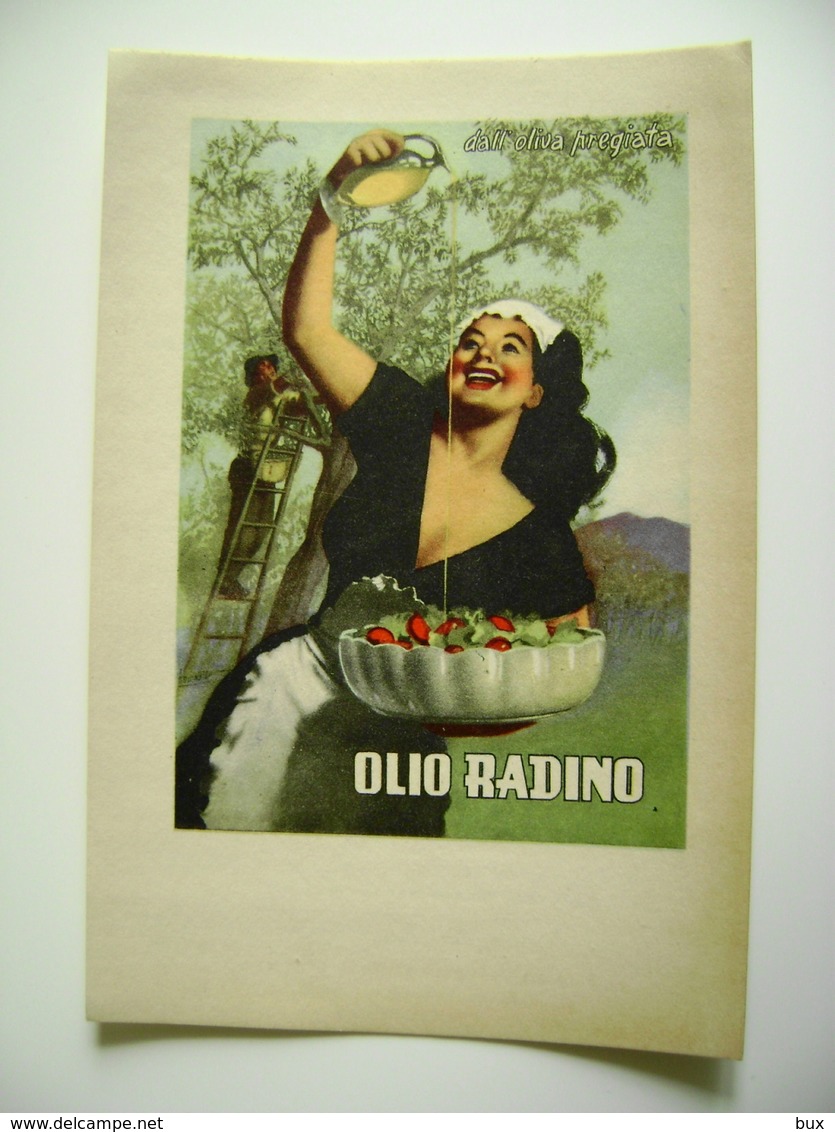 OLIO RADINO  Illustrato Da Gino BOCCASILE Cartoncino Originale Anni '50  NON VIAGGIATA COME DA FOTO - Altri & Non Classificati