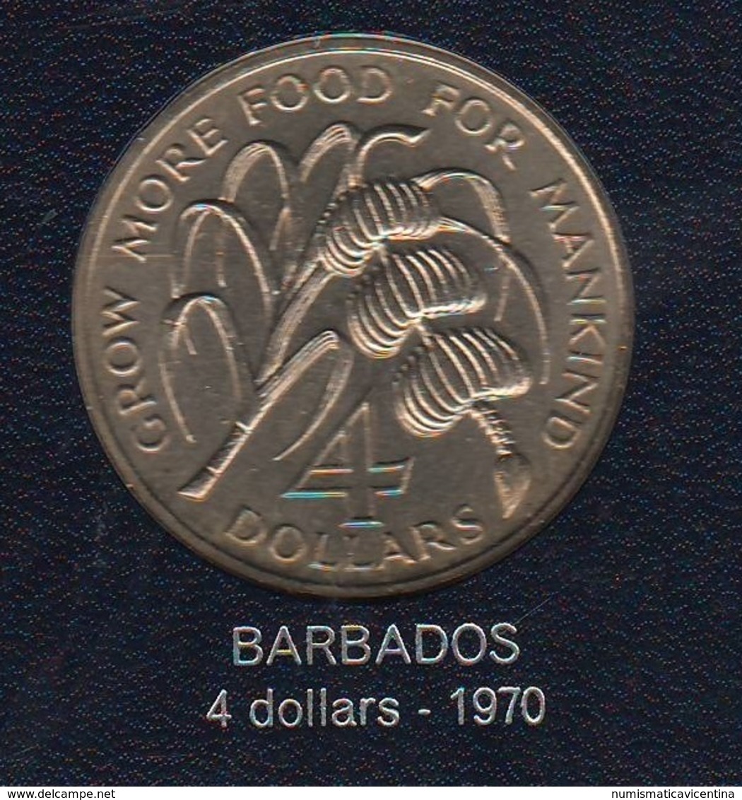 FAO 4 Dollar 1970 Barbados RARE COIN - Barbados