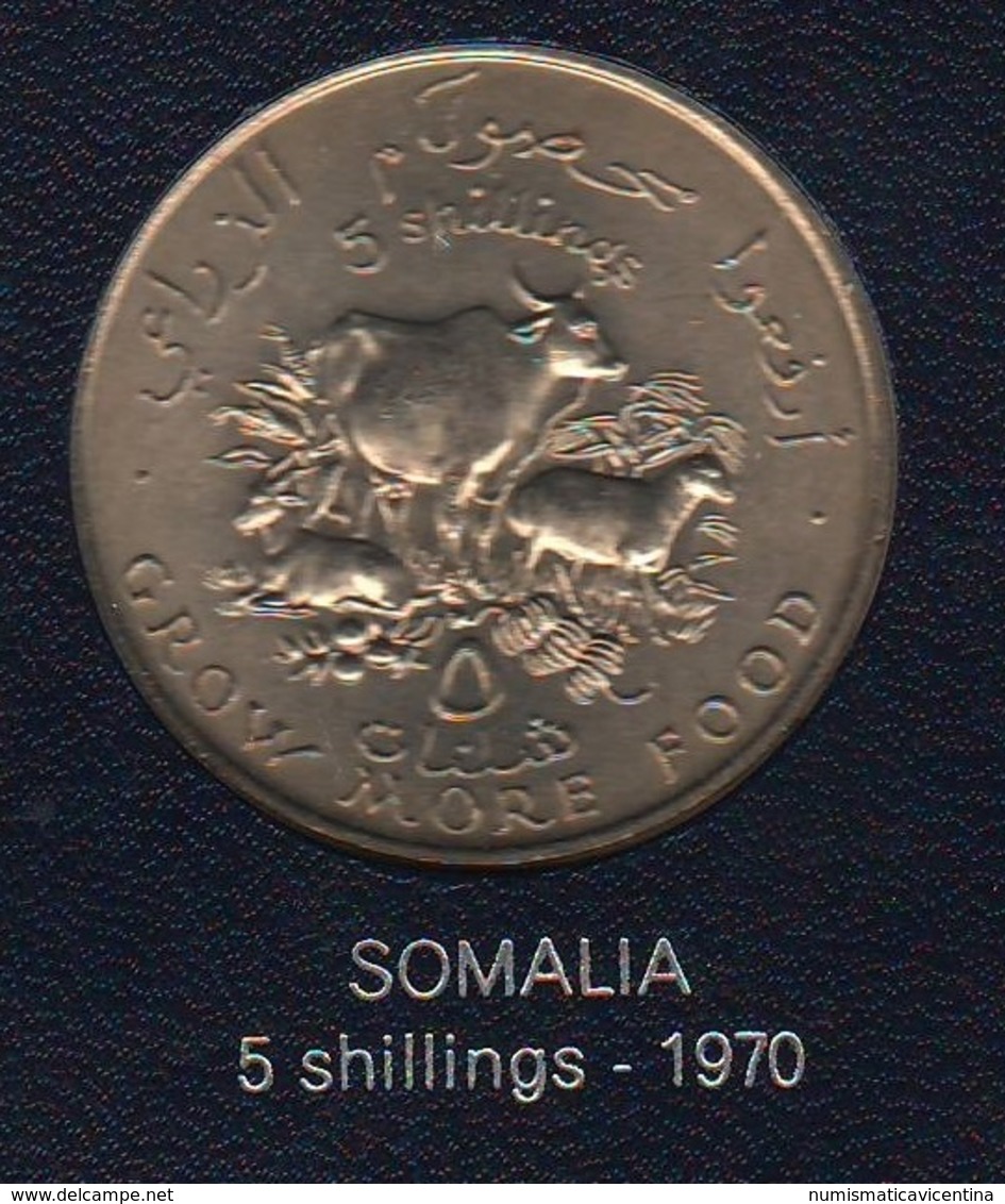 FAO 5 Scellini Schilings 1970 Somalia Democratic Republic - Somalië