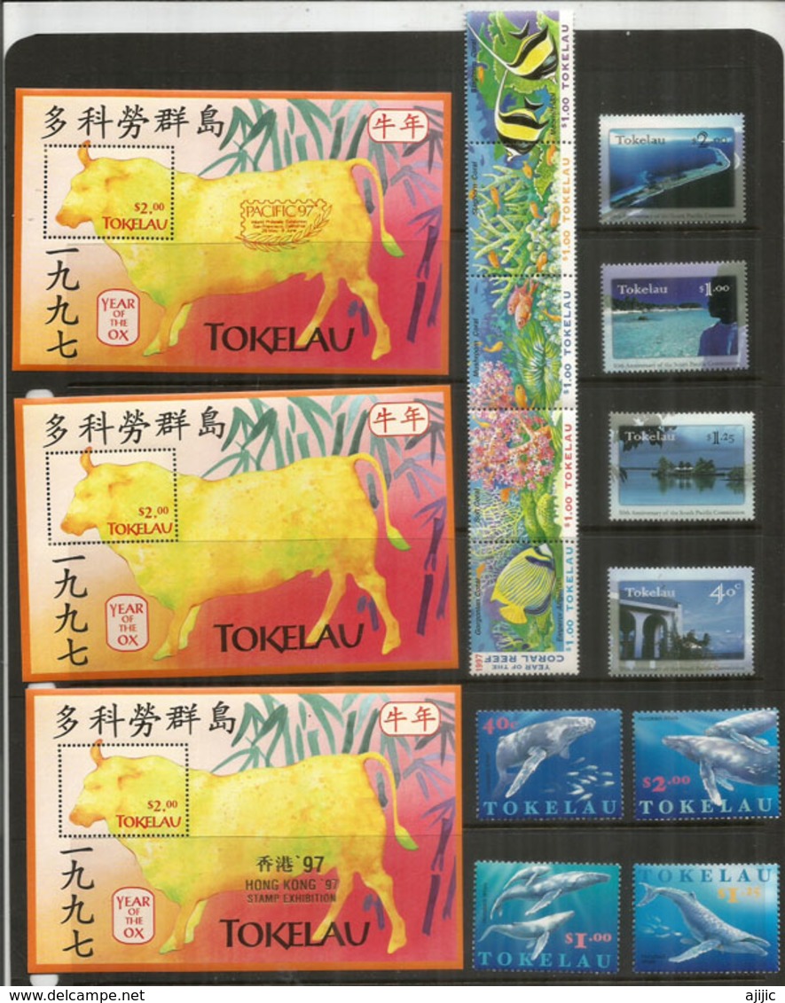 Année 1997. 13  Timbres + 3 Blocs-feuillets  Neufs **   Côte élevée  45 ,00 Euro - Tokelau