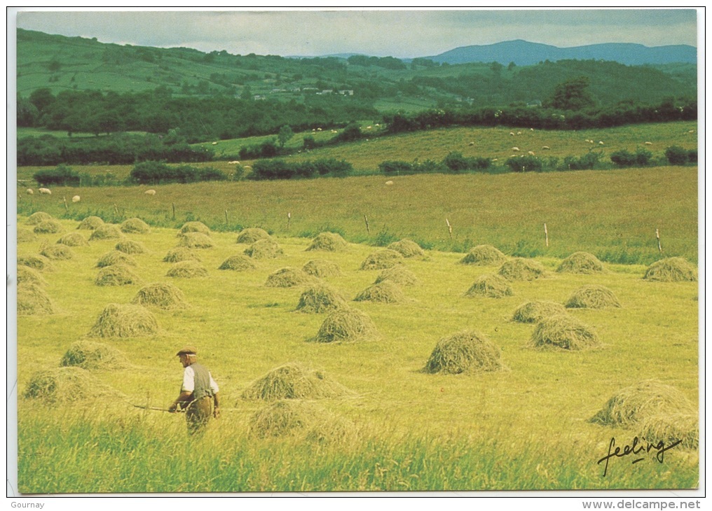 Moissons  -   Coll Feeling N°3 - Bill Binzen Photographe (ed Combier Cp Vierge) - Paesani