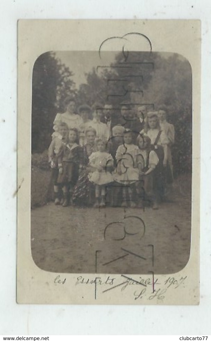 Les Essarts (85) : GP De La Famille Halipré Dans Le Jardin De Leur Villa Bourgeoise En 1907 (animé) CP PHOTO RARE. - Les Essarts