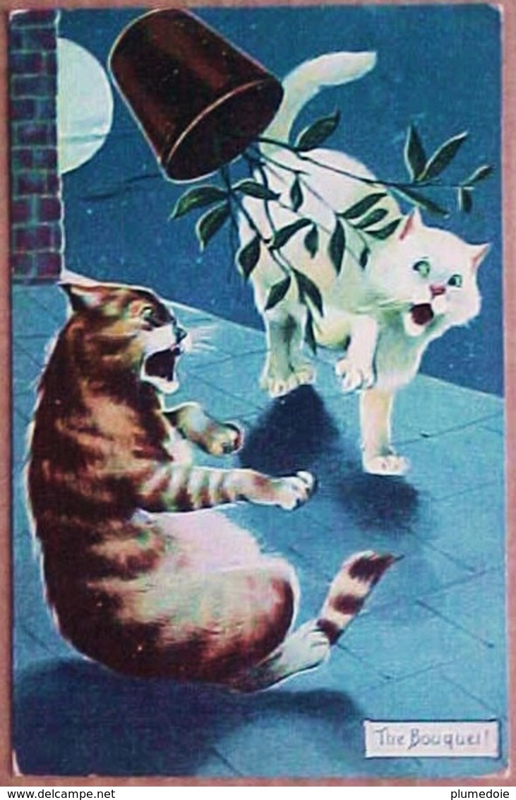 Cpa CHAT ,2 CHATS Bruyants SUR UN TOIT Et POT DE FLEURS , LUNE , 1907 THE BOUQUET ! CAT KITTEN ON THE TILES . KATZE - Chats