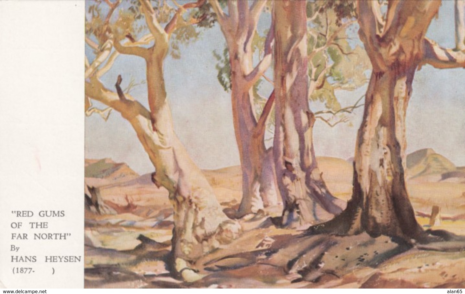 Northern Australia, Heysen Artist Signed Image 'Red Gums Of The Far North' Painting On C1950s Vintage Postcard - Outback