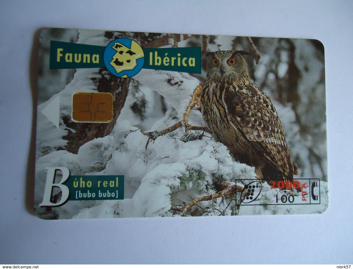 SPAIN   USED CARDS ANIMALS  OWLS  BUBO - Gufi E Civette