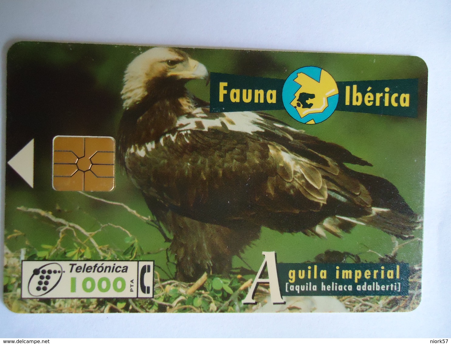 SPAIN   USED CARDS ANIMALS EAGLES - Águilas & Aves De Presa