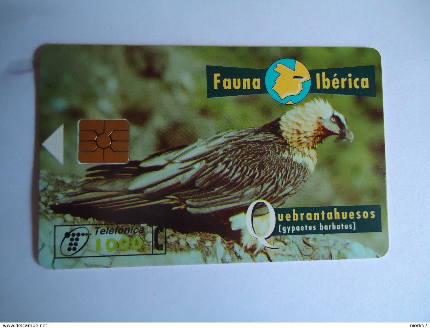 SPAIN   USED CARDS ANIMALS EAGLES - Águilas & Aves De Presa