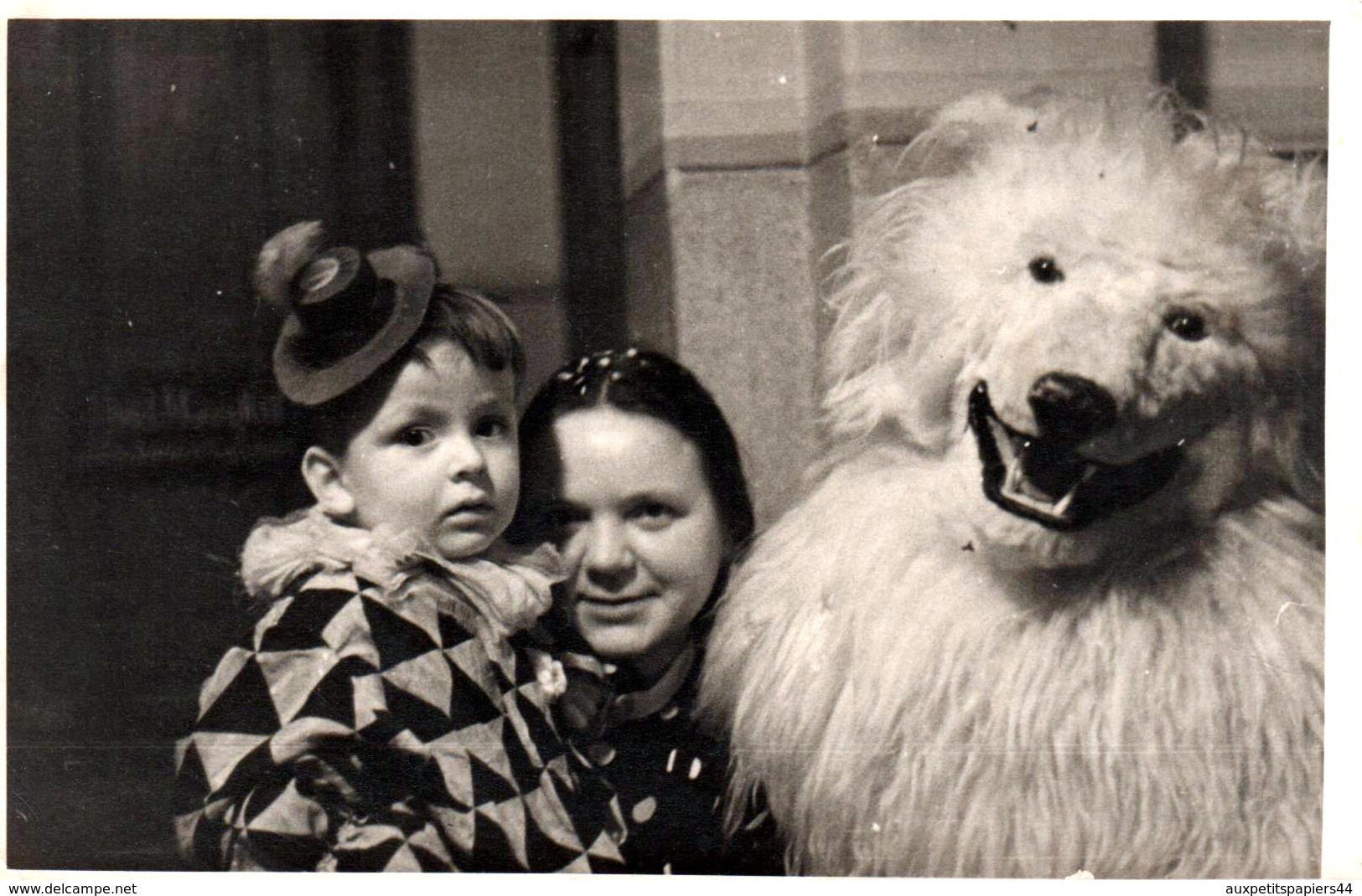 Carte Photo Originale Déguisement & Eisbär, Ours Blanc Polaire En Visite Chez Le Jeune Arlequin Vers 1930/40 - Personnes Anonymes