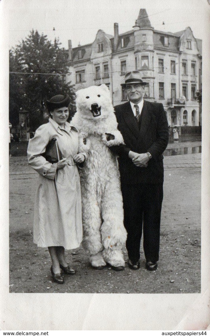 Photo Originale Déguisement & Eisbär, Ours Blanc Polaire Au Parc Avec Un Couple Bras Dessus Bras Dessous 1950's - Personnes Anonymes