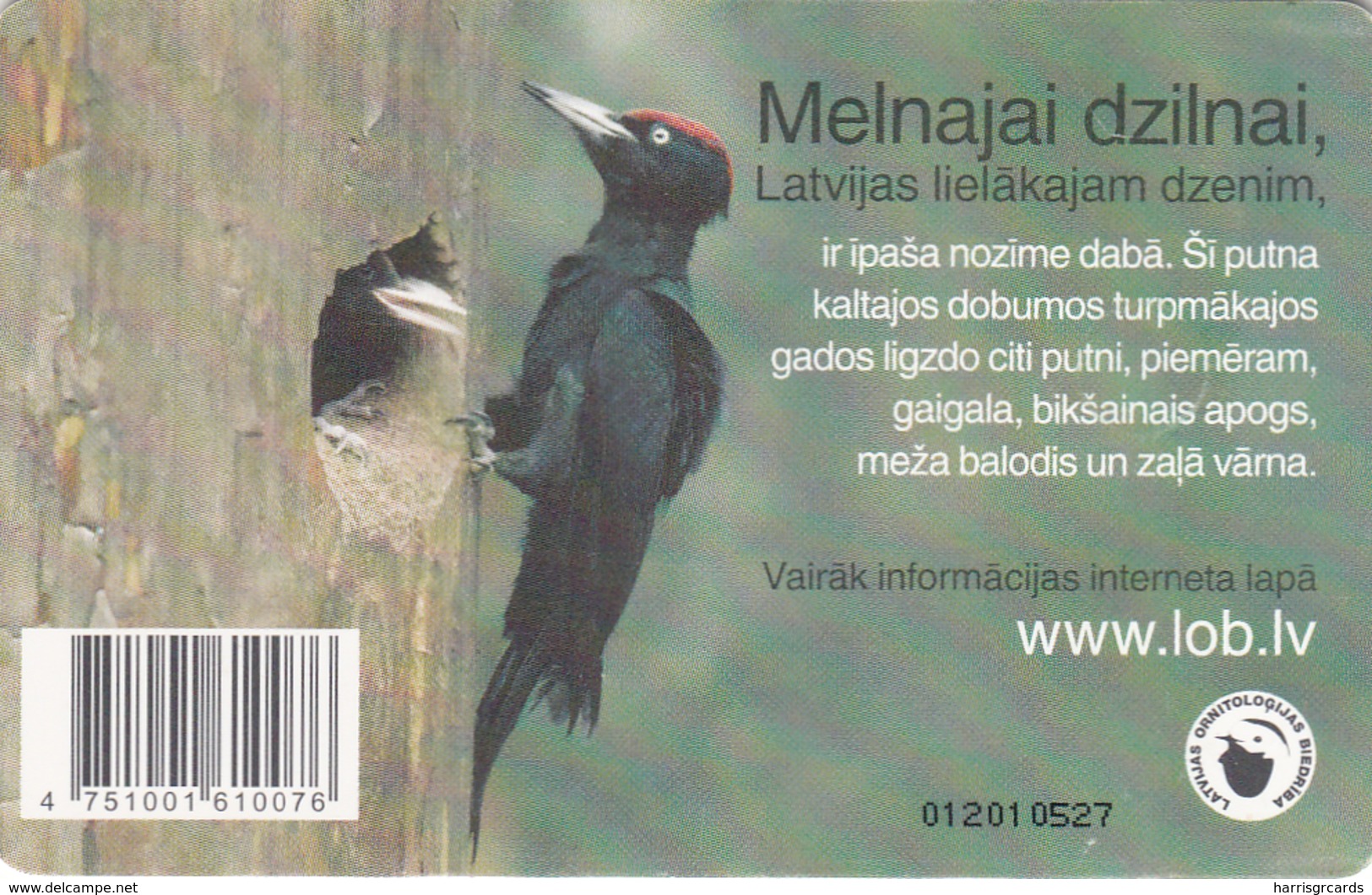 LATVIA - Black Woodpecker, Tirage 50.000, Used - Lettonie