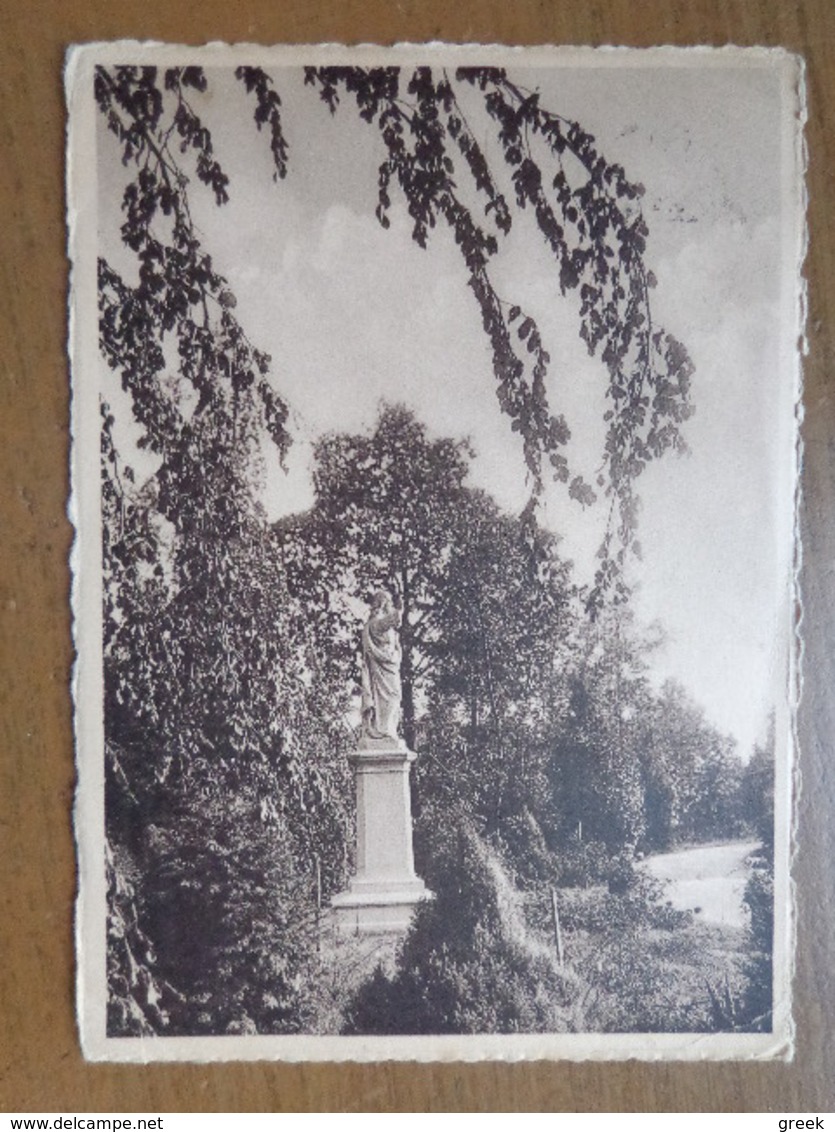 Kostschool Heilig Hart Van Maria Te 's Gravenwezel, Een Hoekje Van Het Park --> Beschreven - Schilde