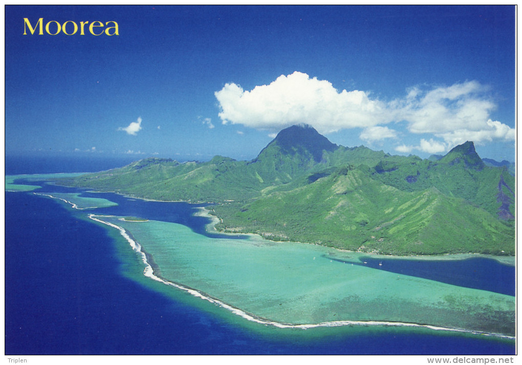 Vue Aérienne De La Côte Est De Moorea - Polynésie Française