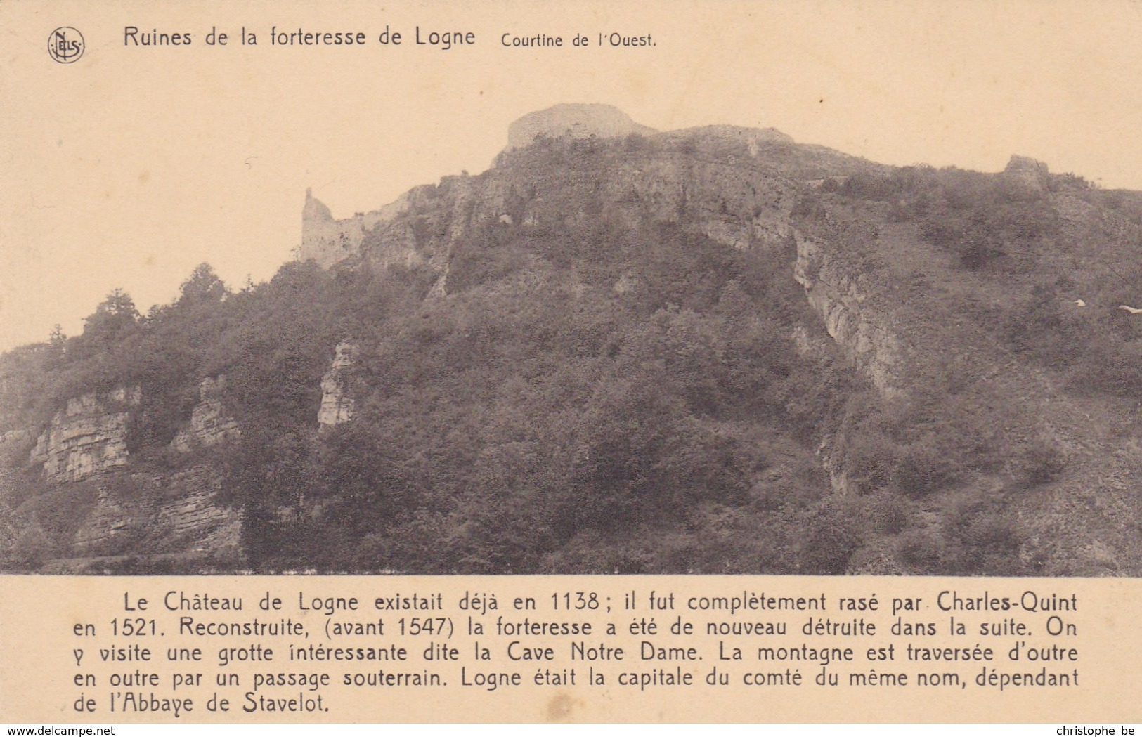 Ruines De La Forteresse De Logne, Courtine De L'Ouest (pk57367) - Ferrières