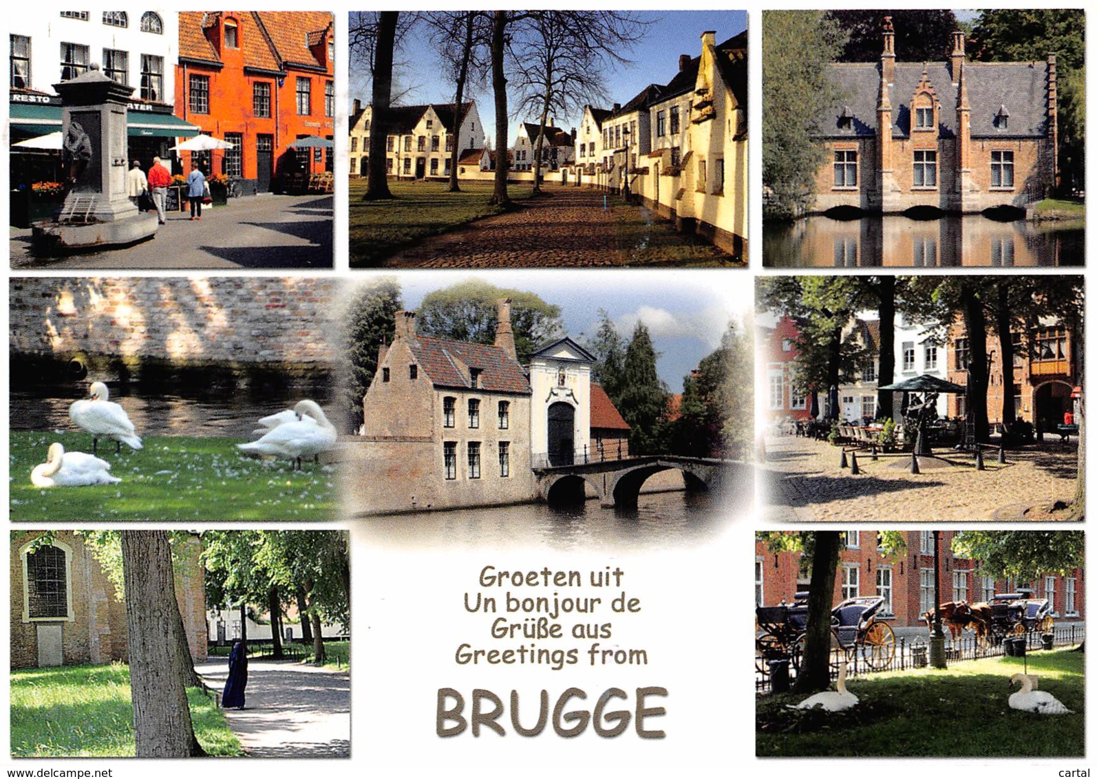 CPM - BRUGGE - Brugge