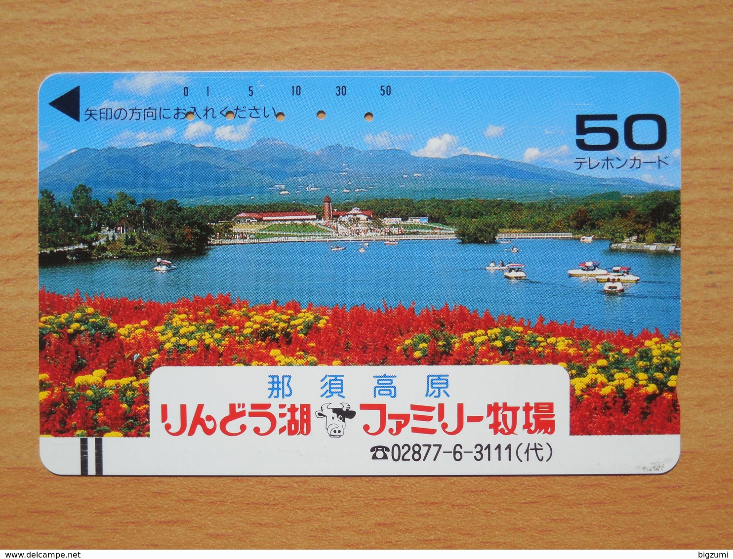 Japon Japan Free Front Bar, Balken Phonecard / 110-9740 / Landscape / Flowers Lake / Bars On Rearside - Landschappen