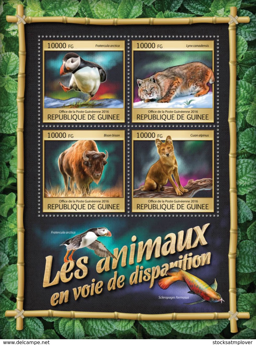 Guinea 2016 Fauna  Endangered Animals Fox  ,bird - Guinee (1958-...)