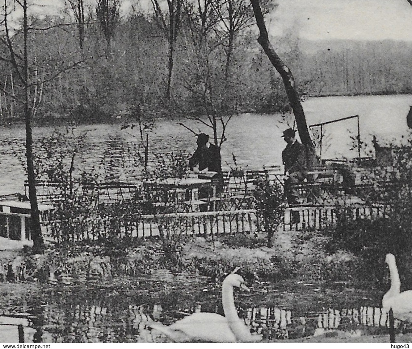 (RECTO / VERSO) LYON EN 1904 - PARC DE LA TETE D' OR - COIN DES CYGNES - BEAU CACHET - DECHIRURE HAUT A GAUCHE - CPA - Autres & Non Classés