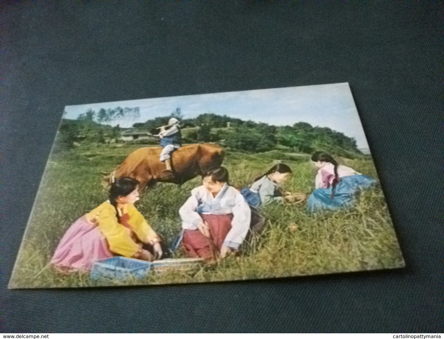 GIRLS DIGGING OUT THE EDIBLE HERBS OF THE HILL AND DALE  KOREA DEL SUD PIN UP COSTUME COSTUMI DONNE FOLKLORE - Korea (Süd)