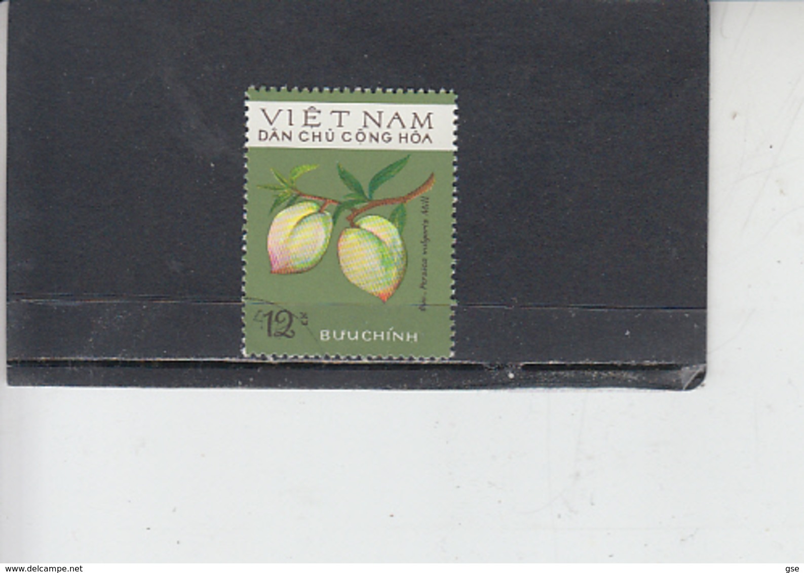 VIET NAM  1975 - Michel  804° -  Frutta - Frutta