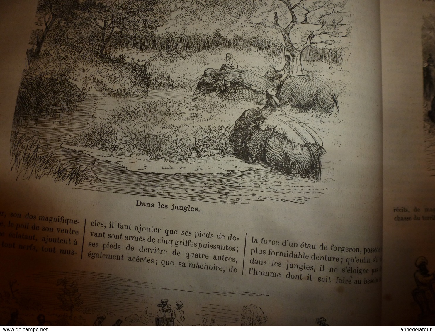 1883 JdV : Jeu du ririki aux îles Fidji; Chasse au tigre en Inde et Indochine;etc  (document en très mauvais état)