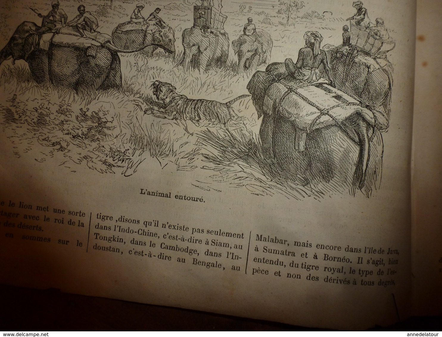 1883 JdV : Jeu du ririki aux îles Fidji; Chasse au tigre en Inde et Indochine;etc  (document en très mauvais état)