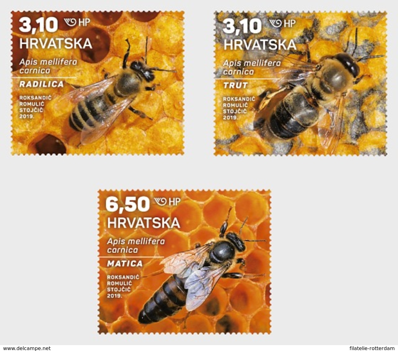 Kroatië / Croatia - Postfris / MNH - Complete Set Bijen 2019 - Kroatië