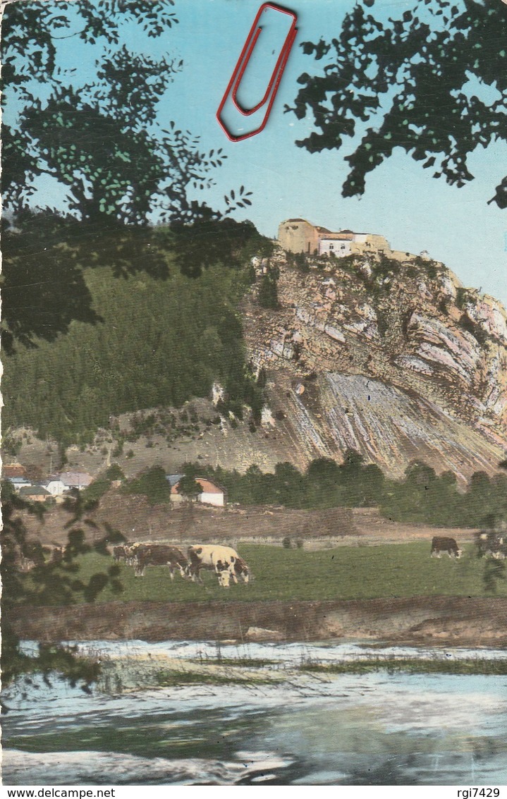 Pontarlier---fort De Joux---vaches - Pontarlier