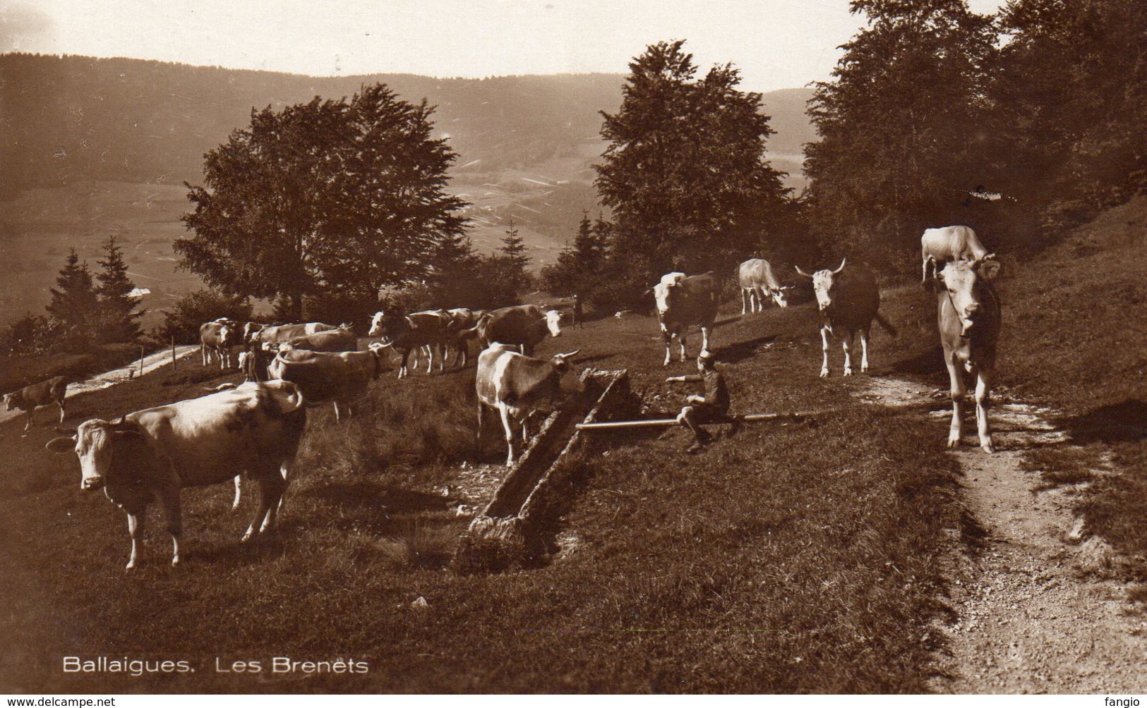 SUISSE -- Ballaigues. 'Les Brenets'. - Ballaigues