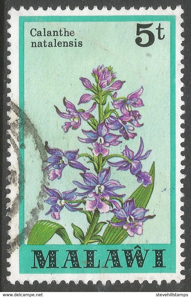 Malawi 1979 Orchids. 5t Used. SG 579 - Malawi (1964-...)