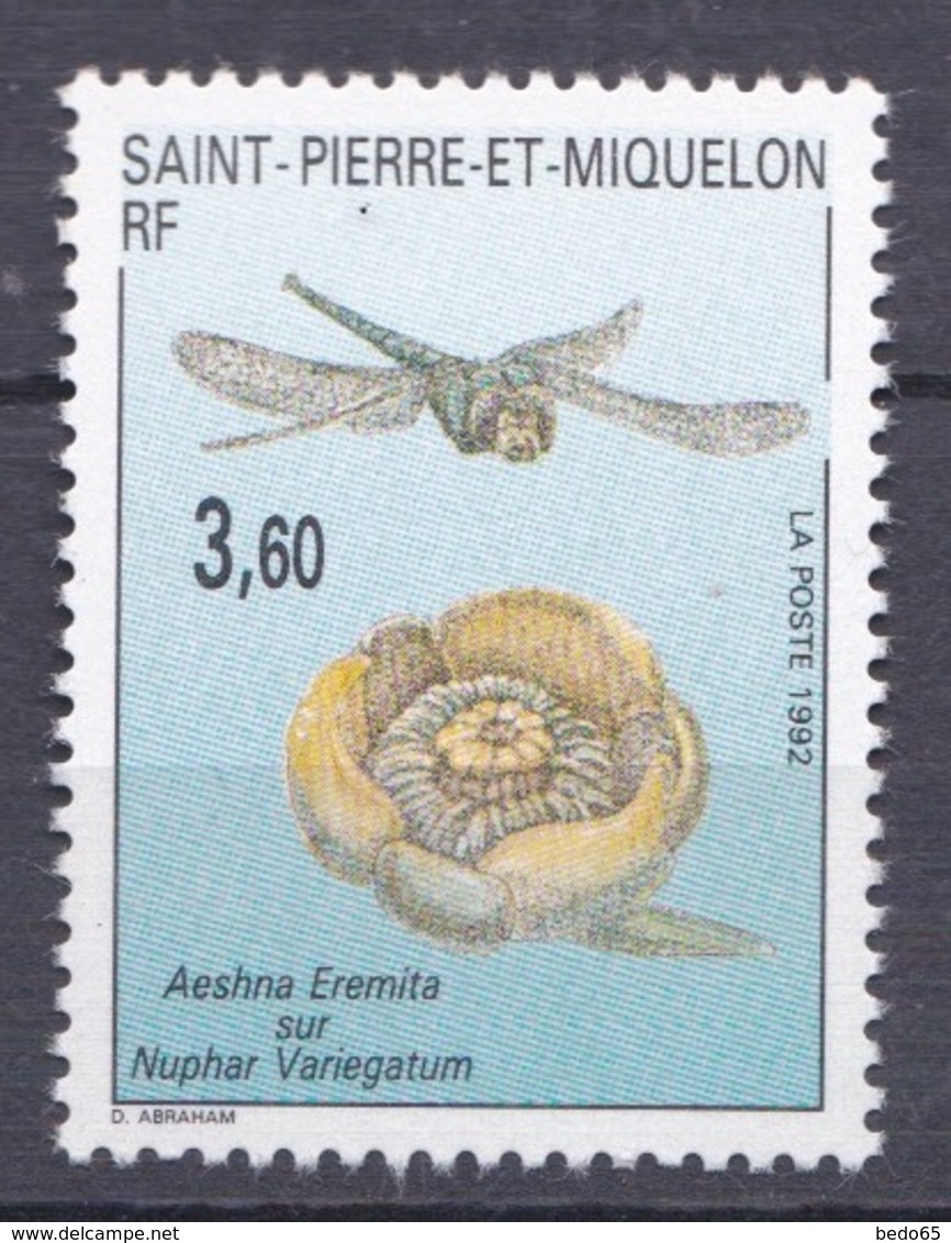 ST PIERRE ET MIQUELON  N° 560  NEUF** LUXE SANS CHARNIERE / MNH - Nuovi