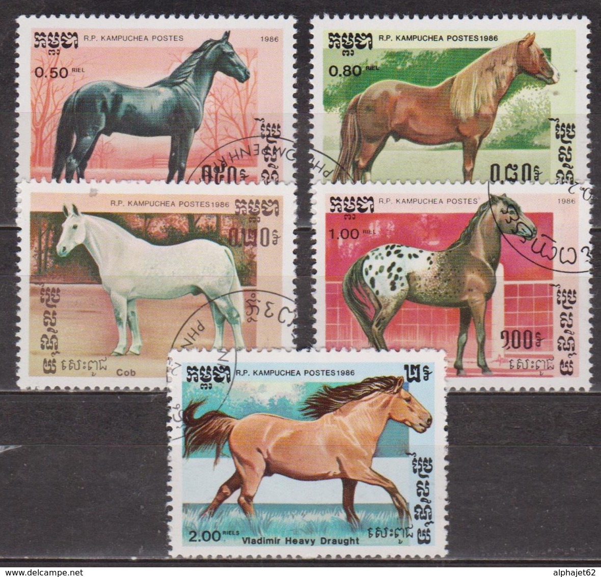 Faune - Chevaux De Race - KAMPUCHEA - Cob Normand - Pur Sang Arabe - Poney Australien - Appaloosa, Attelage - 1987 - Kampuchea