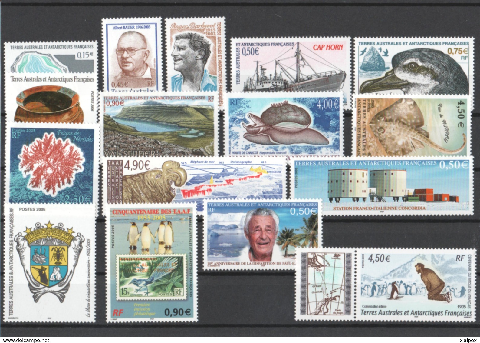 TAAF Année Complète 2005 Timbres Neufs ** - Annate Complete