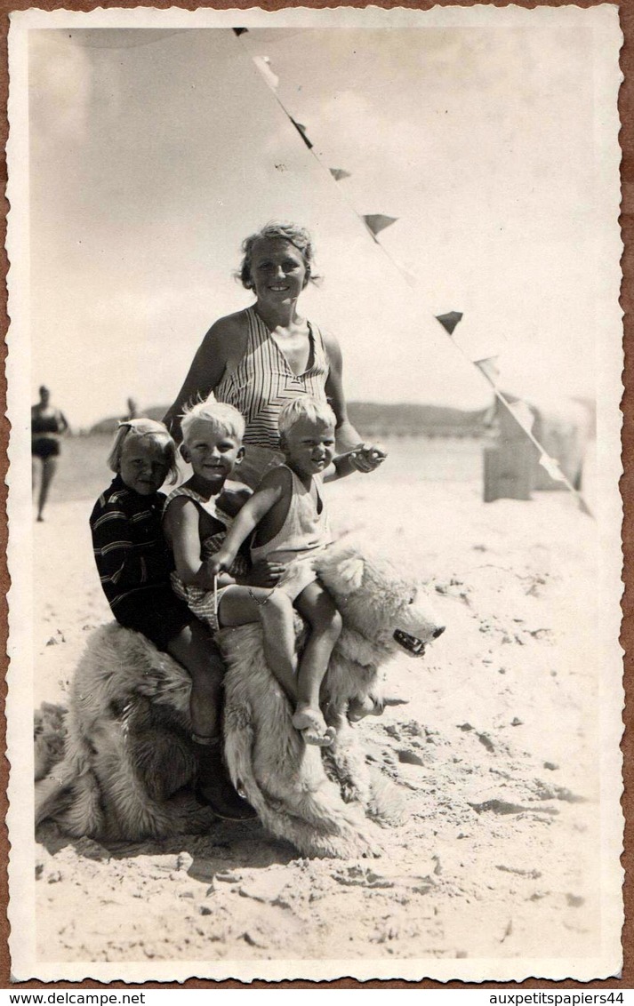 Carte Photo Originale Déguisement & Eisbär, Ours Blanc Polaire à La Plage Avec 3 Gamins Sur Le Dos Vers 1930/40 - Personnes Anonymes