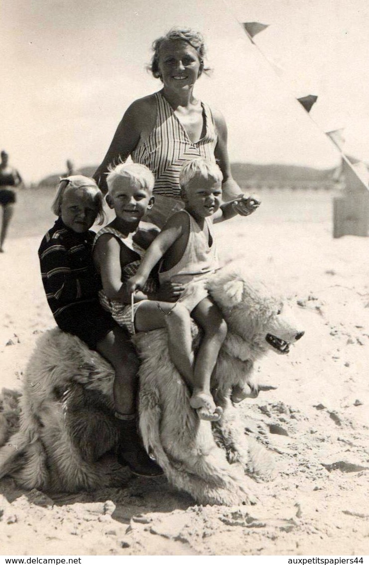 Carte Photo Originale Déguisement & Eisbär, Ours Blanc Polaire à La Plage Avec 3 Gamins Sur Le Dos Vers 1930/40 - Personnes Anonymes