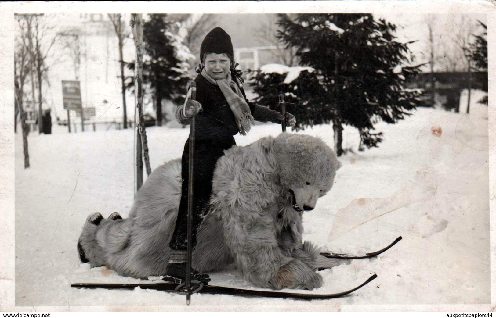 Carte Photo Originale Déguisement & Eisbär, Ours Blanc Polaire à 4 Pattes Sur La Neige & Gamin à Skis Pleurant Sur Dos - Personnes Anonymes