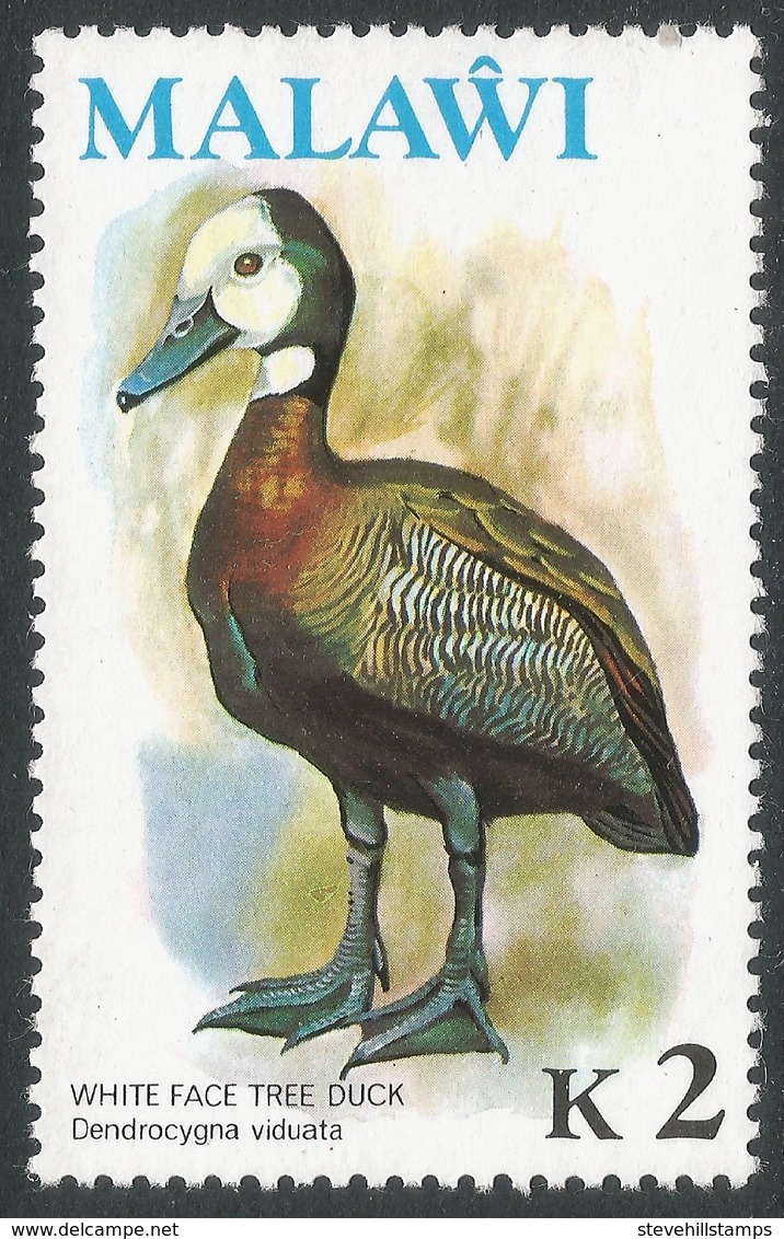 Malawi 1975 Birds. 2k MNH. SG 504 - Malawi (1964-...)