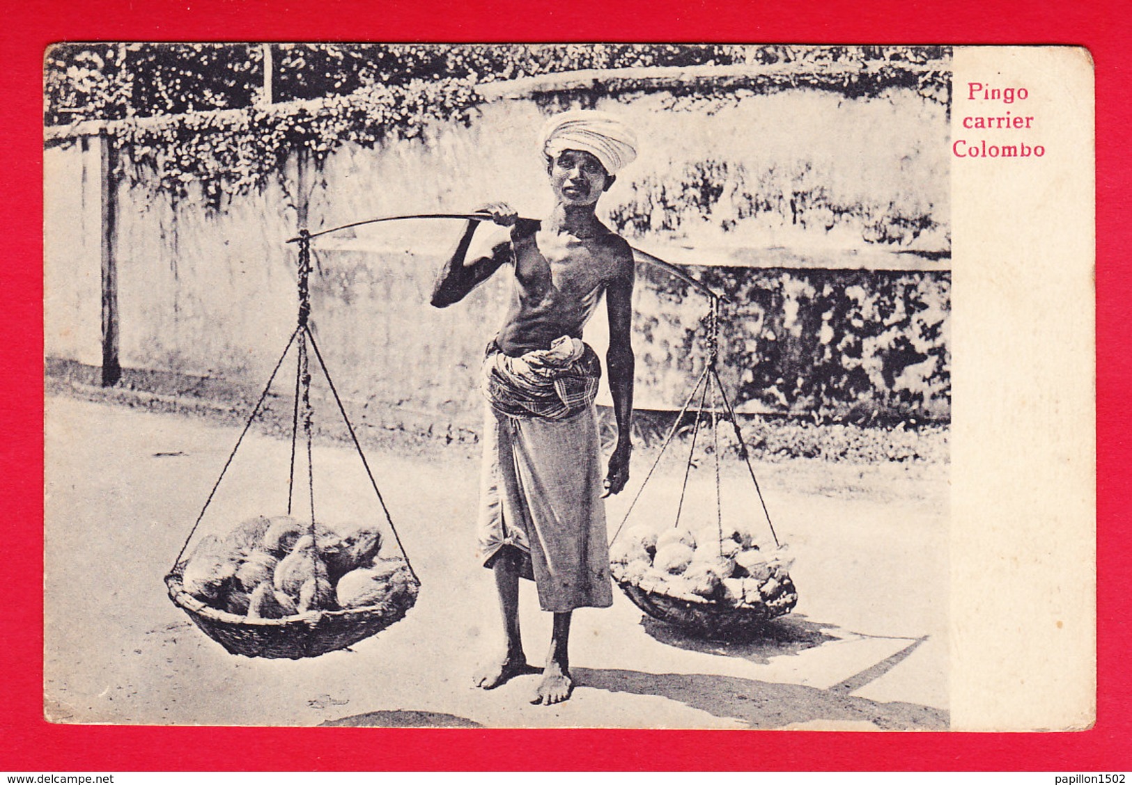 E-Ceylan-56P66  COLOMBO, Pingo Carrier, Cpa - Sri Lanka (Ceylon)