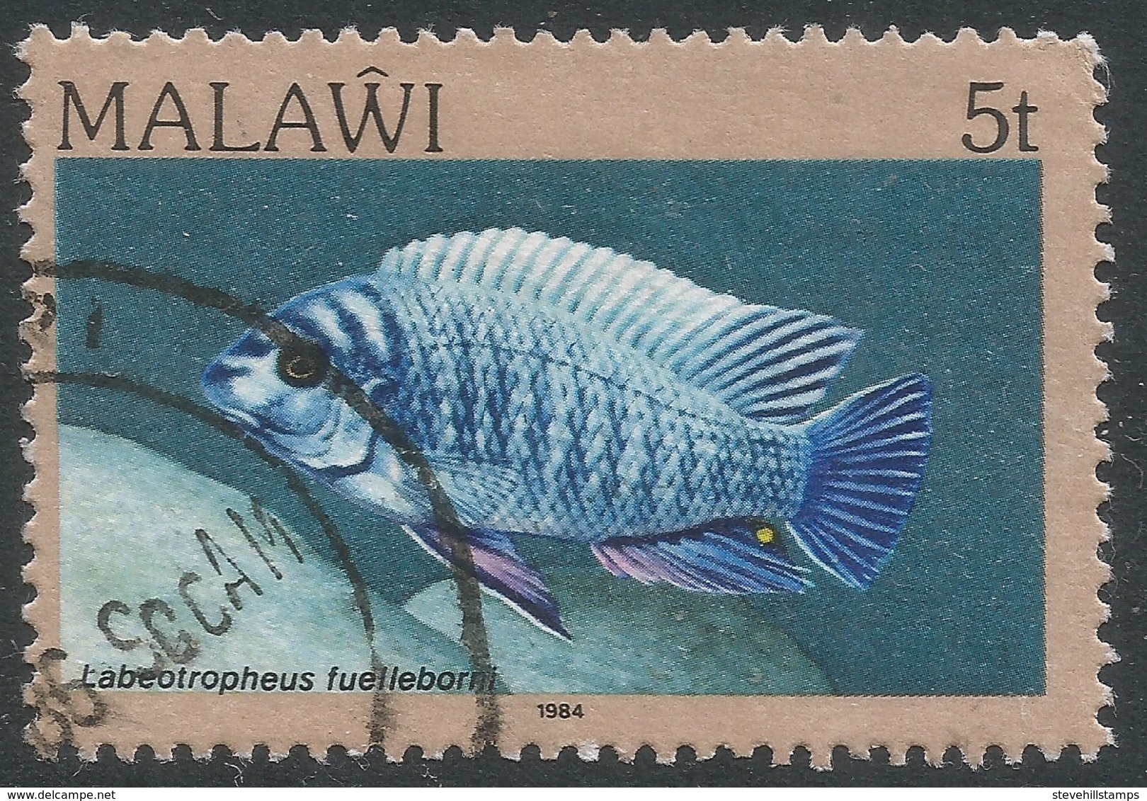 Malawi 1984 Fish. 5t Used. SG 690 - Malawi (1964-...)