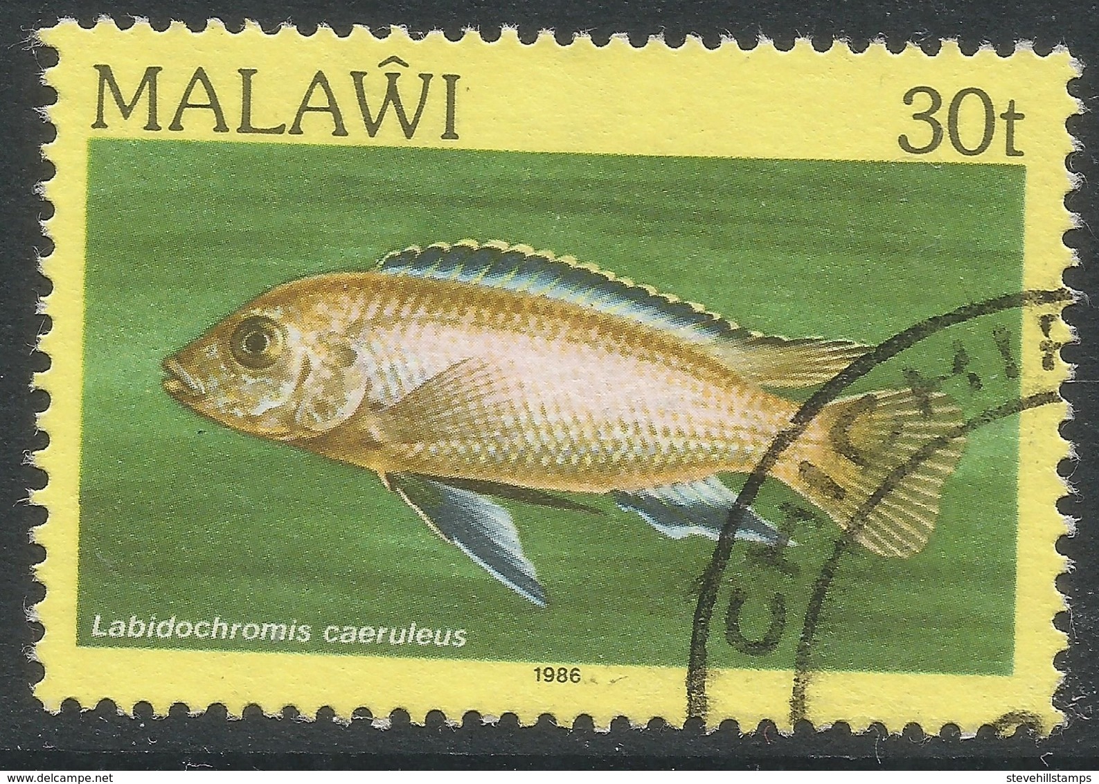 Malawi 1984 FIsh. 30t Used. SG 696 - Malawi (1964-...)