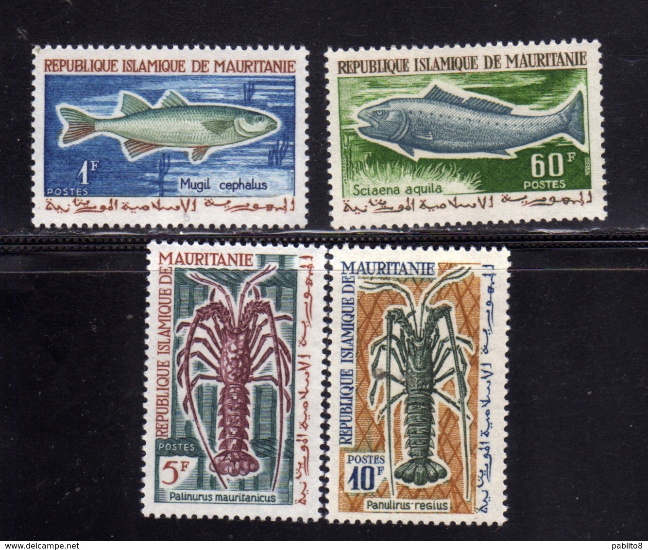 MAURITANIA MAURITANIE 1964 FISHES POISSONS PESCI COMPLETE SET SERIE COMPLETA MNH - Mauritania (1960-...)