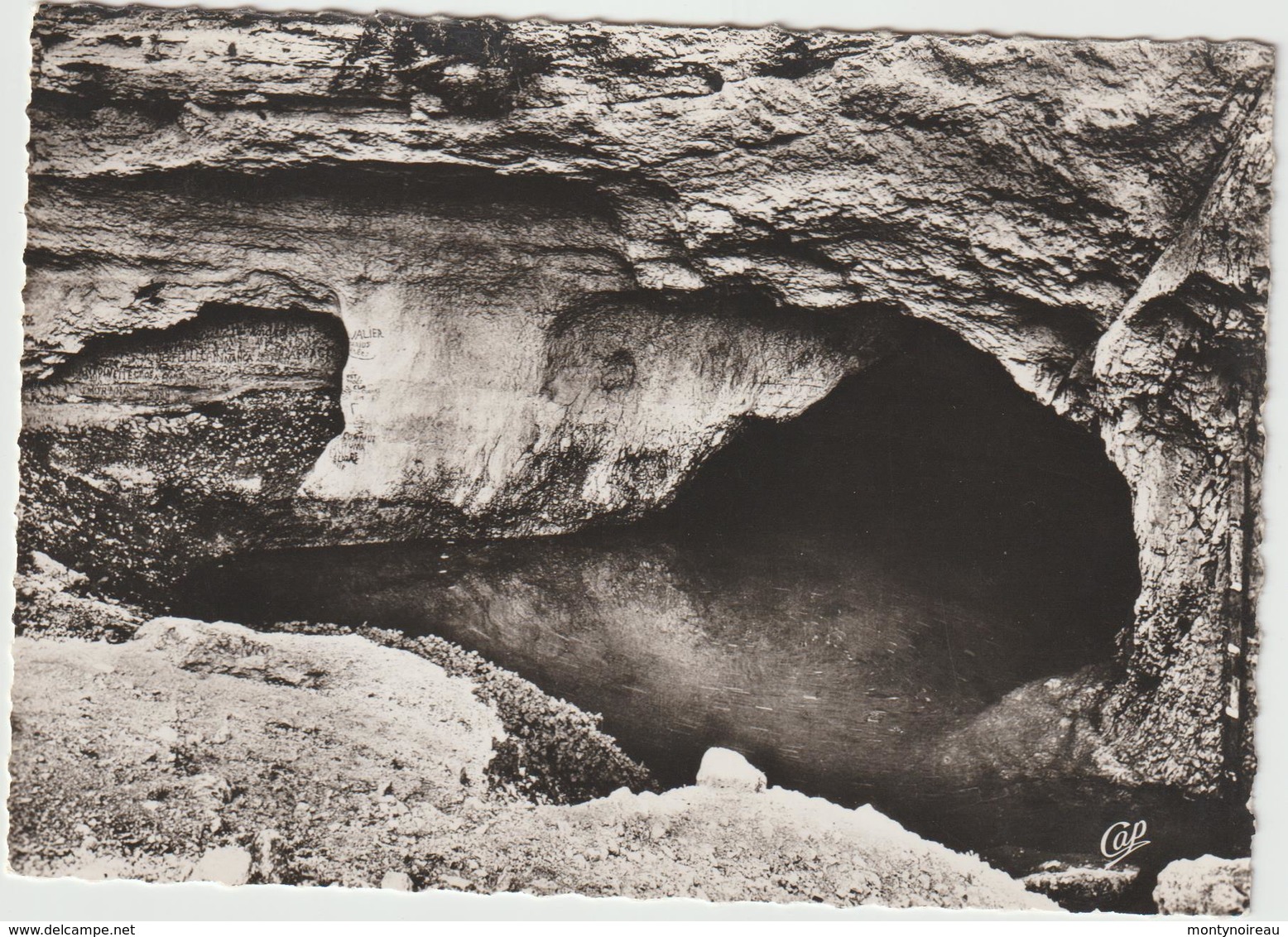 DAV : Vaucluse :  Fontaine  De  Vaucluse , La  Source - Autres & Non Classés