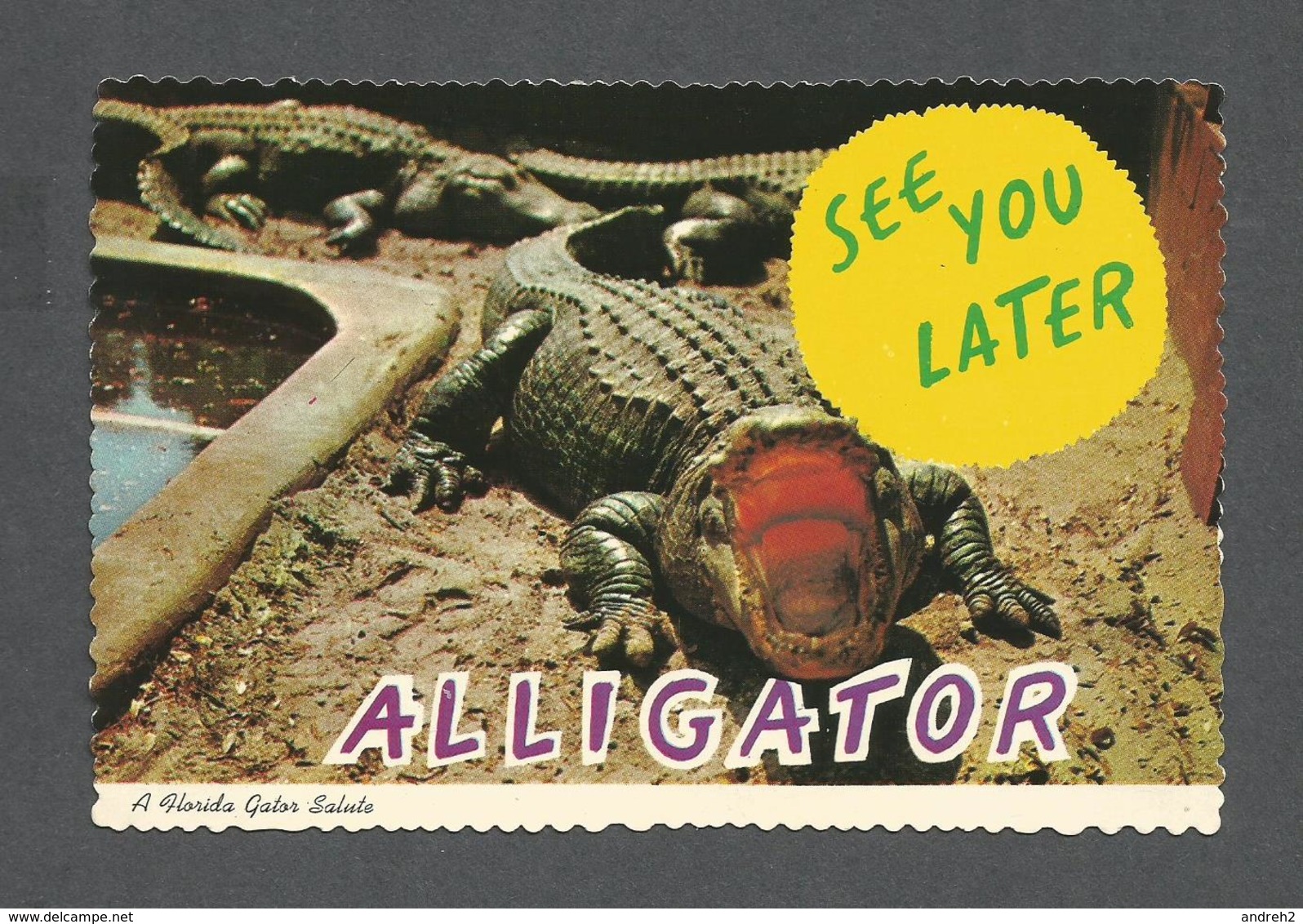 HUMOUR - ANIMALS - ALLIGATOR - A FLORIDA GATOR SALUTE SEE YOU LATER - FORIDA STATE SERIES - Humour