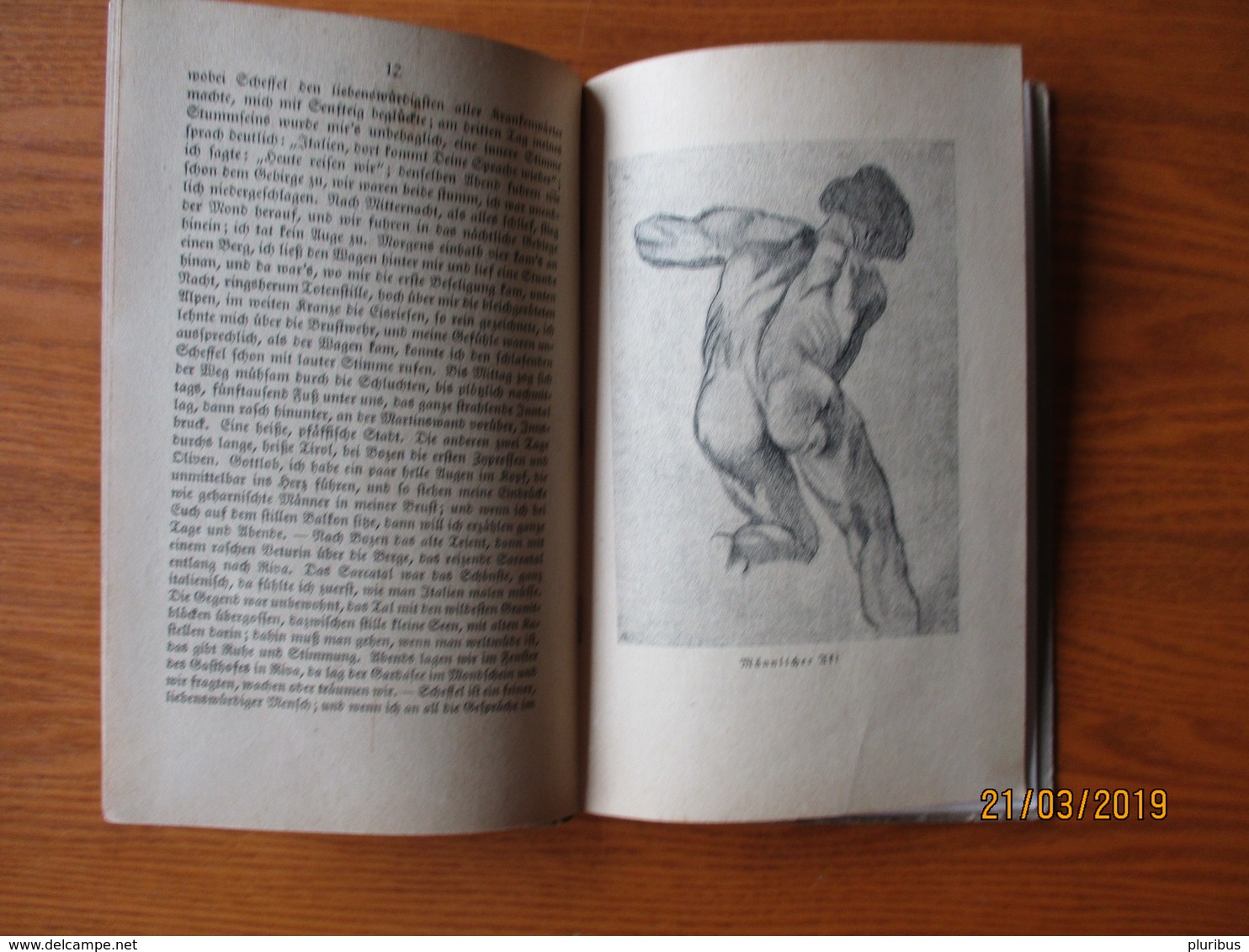 1922 FEUERBACH BILDER UND BEKENNTNISSE ,  NUDE ART , OLD BOOK ,0 - Painting & Sculpting