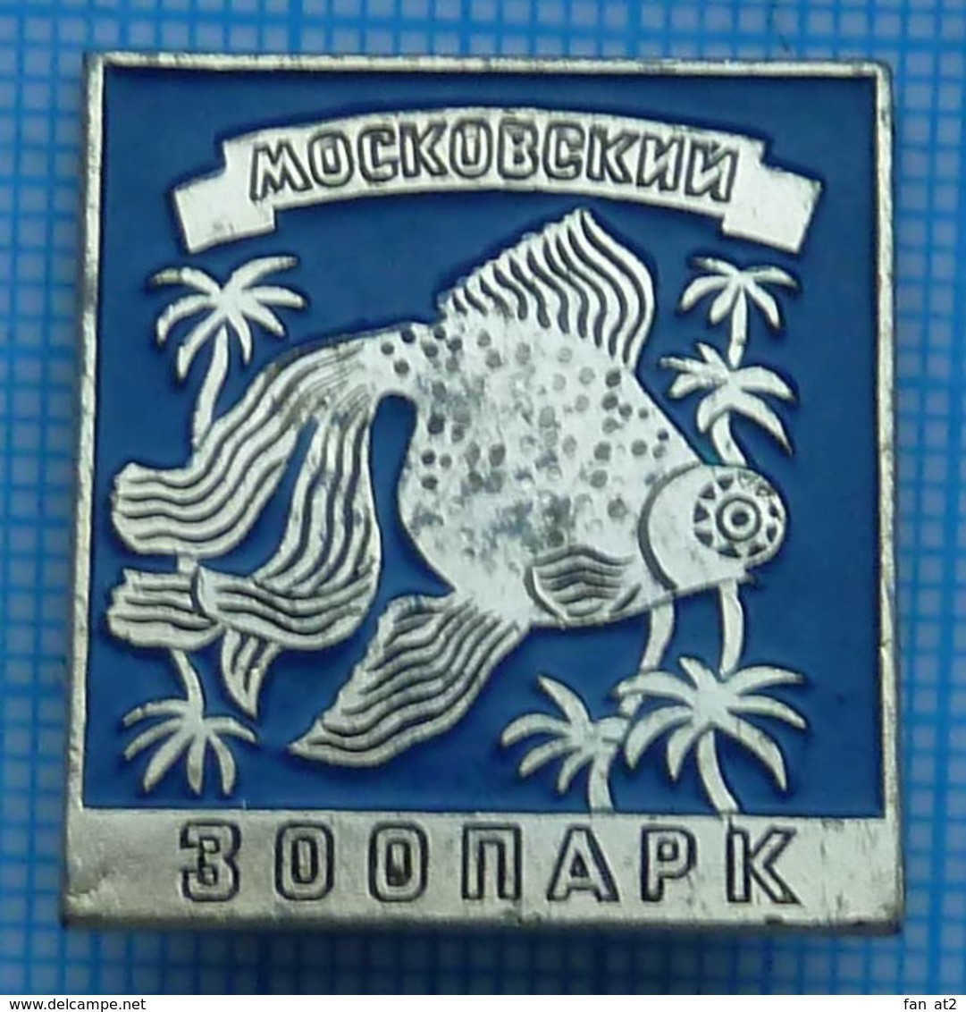 USSR / Badge / Soviet Union / RUSSIA / Moscov Zoo. Fauna. A Fish. Aquarium . - Animaux