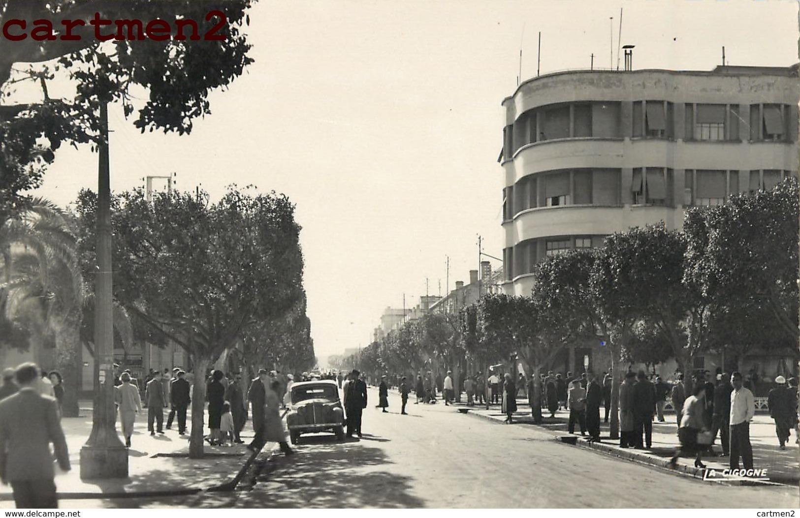 AÏN-TEMOUCHENT BOULEVARD NATIONAL ALGERIE - Sonstige & Ohne Zuordnung