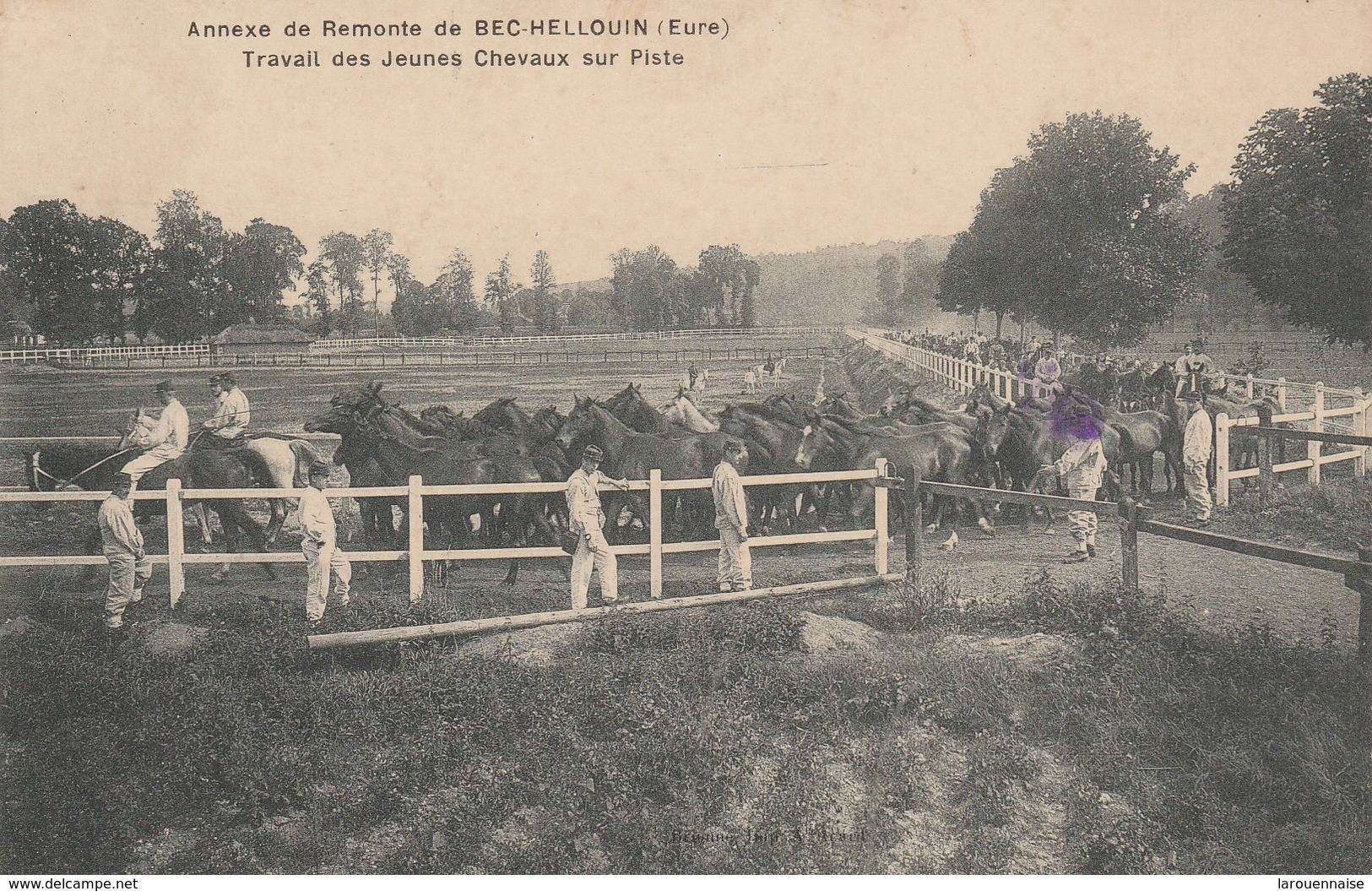 27 - BEC HELLOUIN - Annexe De Remonte - Travail Des Jeunes Chevaux Sur Piste - Autres & Non Classés