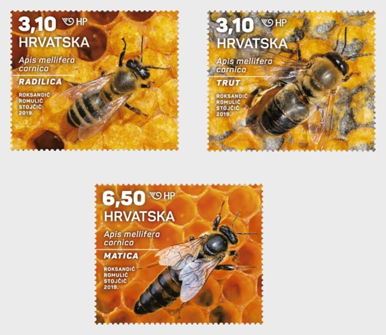 H01 Croatia 2019 Croatian Fauna Carniolan Honey Bee MNH Postfrisch - Kroatien