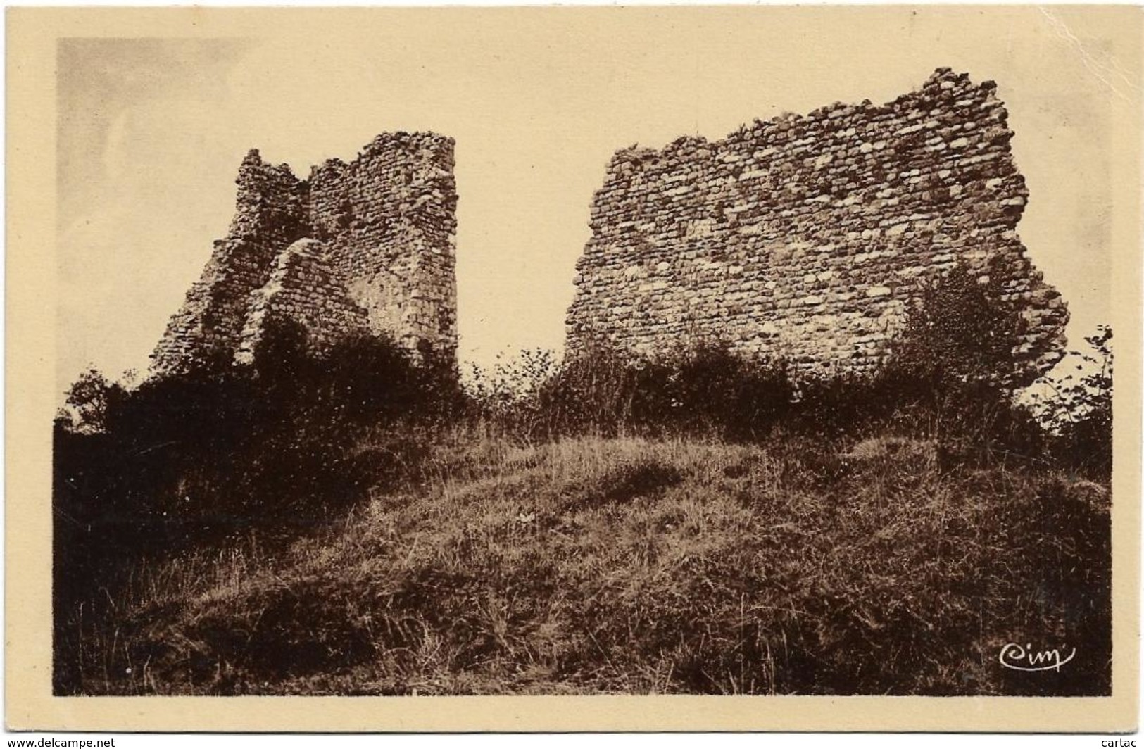 D74 - FAUCIGNY - RUINES DU CHÂTEAU DE FAUCIGNY (IXe Siècle) - CPSM Sépia Petit Format - Faucigny