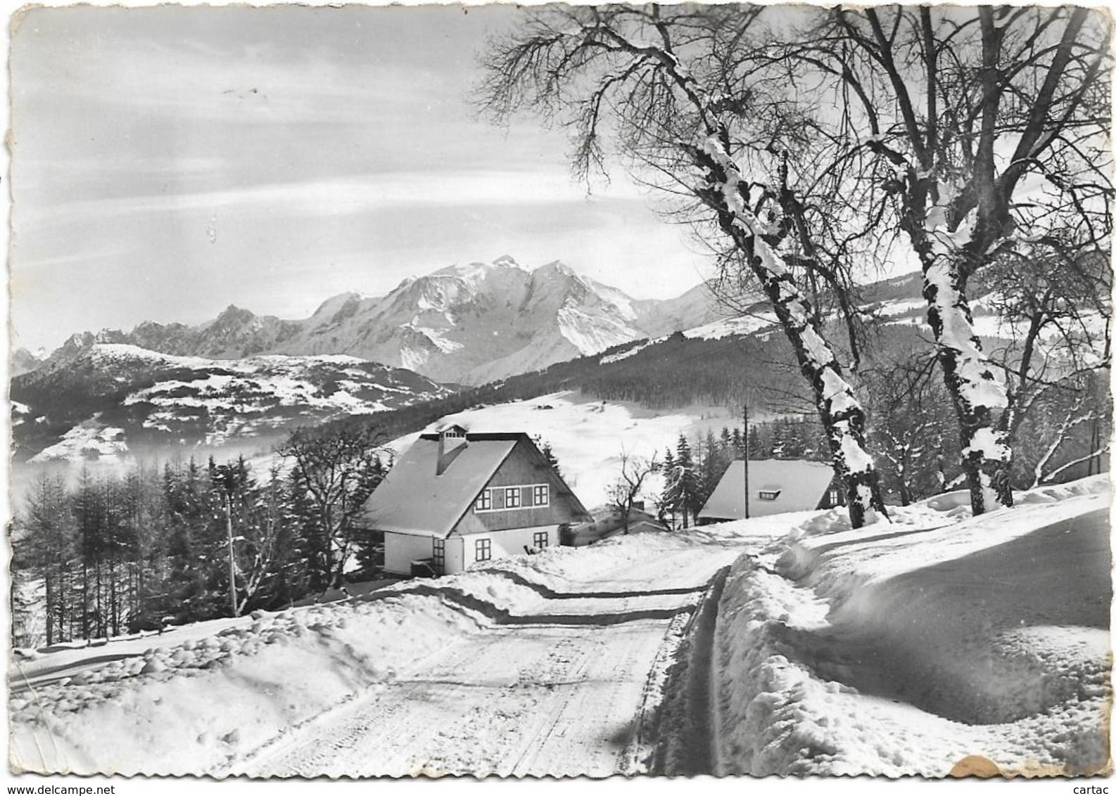 D74 - COMBLOUX - LE CHEMIN DES RENARDIERES ET LE MASSIF DU MONT BLANC - CPSM Dentelée Grand Format En Noir Et Blanc - Combloux